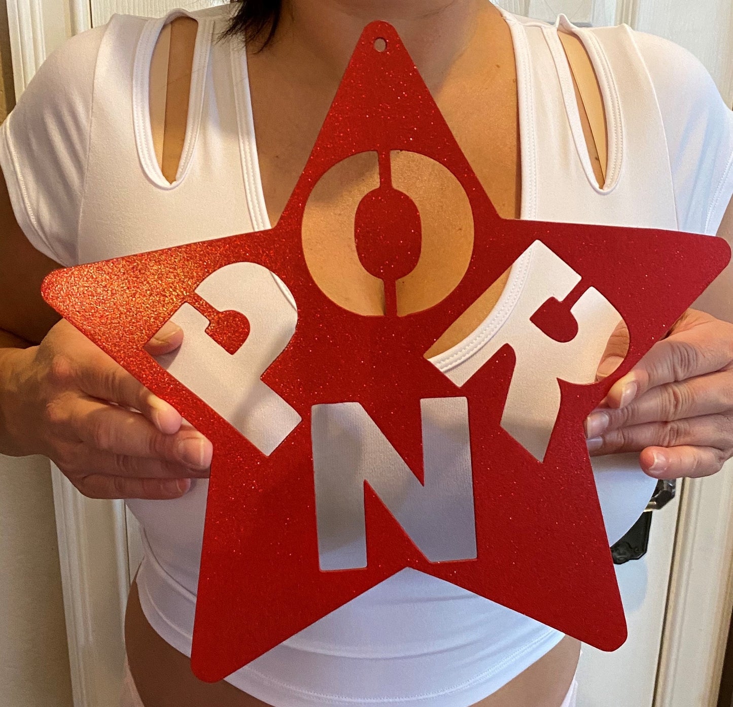 Porn Star metal sign